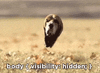 a dog’s disembodied head runs through a field with ears flapping, caption says `body { visibility: hidden; }`