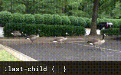 a CSS declaration says `:last-child { }` with a blinking cursor. a line of brown geese walk by followed by a single white goose. the declaration gets filled in `color: white;`