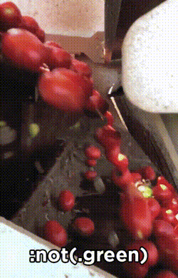 red berries cascade through a mechanical sorting machine where little arms extend and knock away any berries that are green, caption says `:not(.green)`
